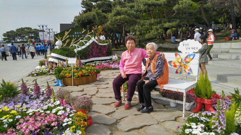 고양 꽃박람회 
